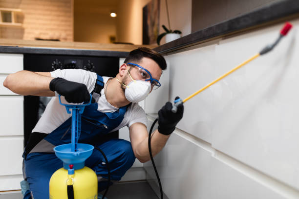 Wildlife Control Services in Long Beach, NY