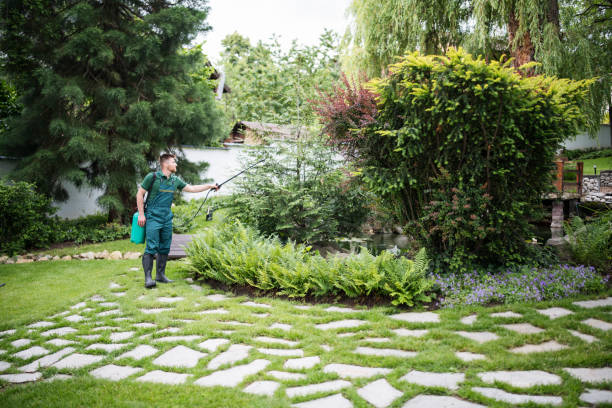 Best Commercial Pest Control Services  in Long Beach, NY