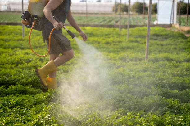 Reliable Long Beach, NY Pest Control Solutions