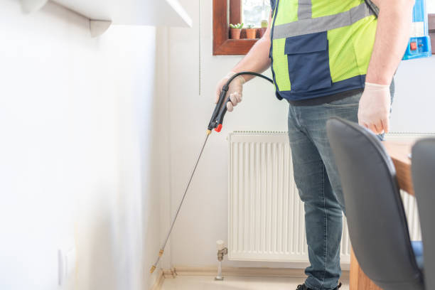 Best Flea Control Services  in Long Beach, NY