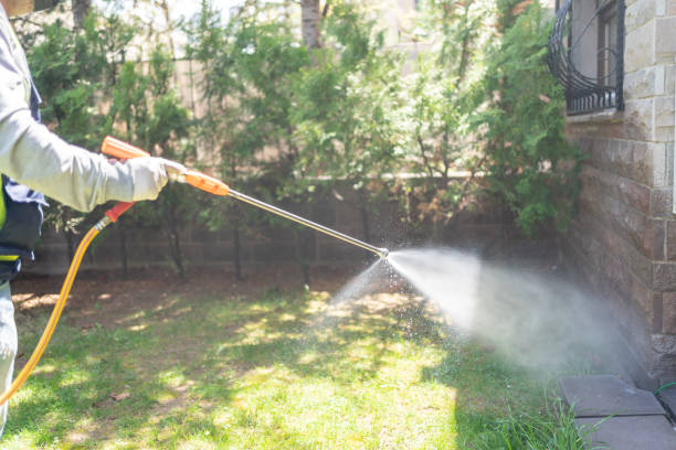 Reliable Long Beach, NY Pest Control Solutions