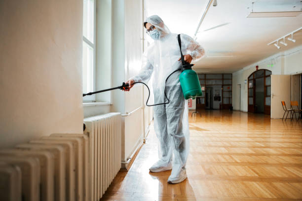 Best Pest Prevention Services  in Long Beach, NY