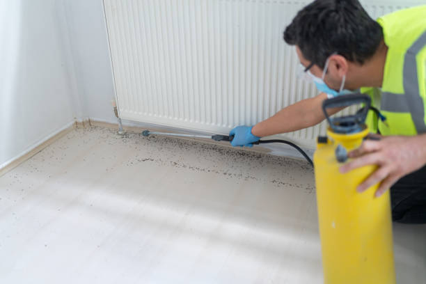  Long Beach, NY Pest Control Pros