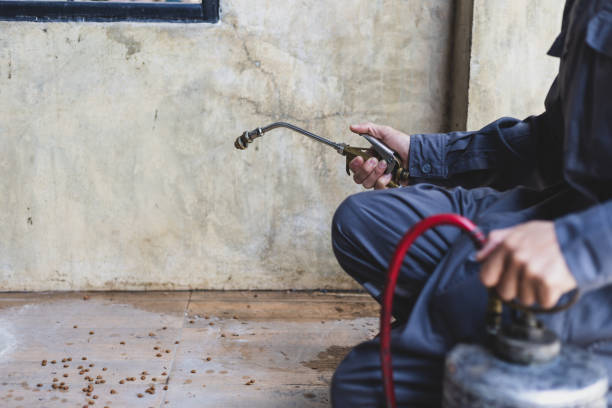 Best Wasp Removal Services  in Long Beach, NY